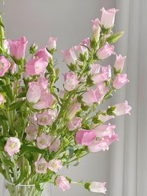 綜漫：無畏雷霆