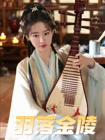 云之羽：羽落金陵