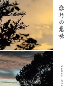 有時候也喜歡你