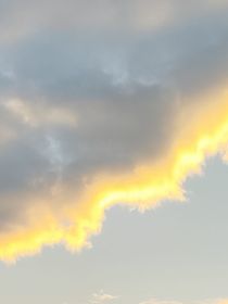 无期迷途：海贼世界观影异世