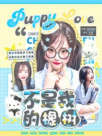 BoysPlanet：不是我的橡树