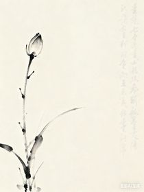 快遞里的陌生情書