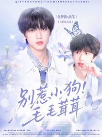 别惹小狗毛毛茸茸