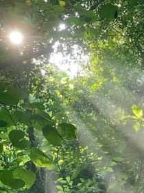 校園的小朋友，找到你了