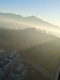 阿樹(shù)的回應(yīng)