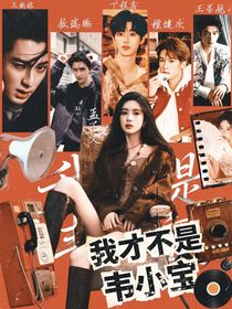 桃花塢6：我才不是韋小寶