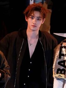 丁程鑫：晚風吻過夏梔子