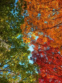 梦人间的奇思妙想