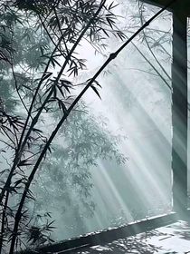 奔跑吧：并肩行