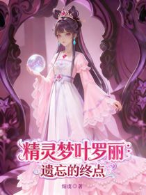 精靈夢葉羅麗：遺忘的終點(diǎn)