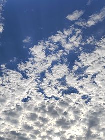 他的光影，我的輪廓