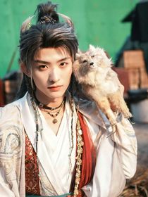 综影视：绑定了万人迷系统怎么办