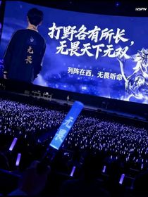 純吐槽一下王者選手同人作者