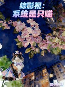 综影视：系统是只喵