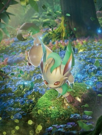 伊布家族：風(fēng)云往事