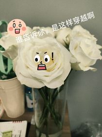 誰告訴你是這樣的穿越啊