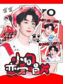 黄子弘凡：小狗恋爱唱片