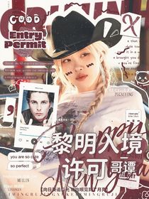 哥谭：黎明入境许可