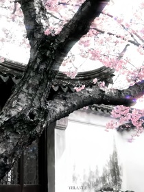 幾年幾月幾日晴