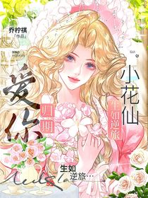小花仙：生如逆旅，爱你归期