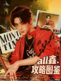 all鑫：攻略圖鑒