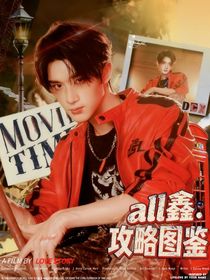 all鑫：攻略圖鑒