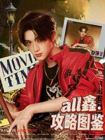 all鑫：攻略圖鑒