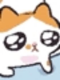 D5乙女：休止符