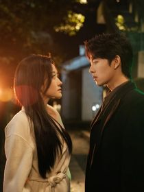 总裁的心尖上的人小说