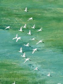 综影视：星笺弥漫