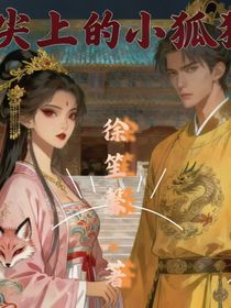 心尖上的小狐貍