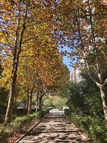 警徽下的青春與愛