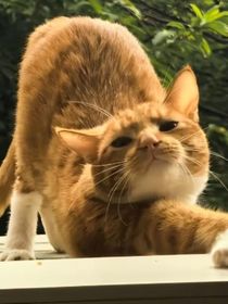 隨瑜而安就要隨遇而安