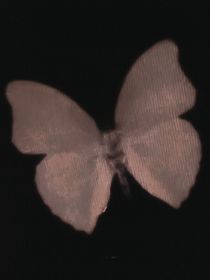 BAEKHYUN：千禧年情書