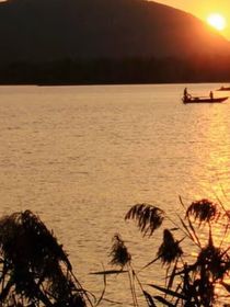 寫給林知鈞的情書