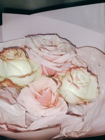 我和她的故事（雙女）