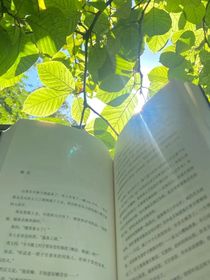 隨筆第五頭七Ch