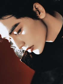 張凌赫：惡犬噬吻癥