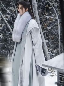 碎月沉淵（又名：當(dāng)蕭楚河知道蕭若瑾遭受的一切后）