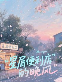 星屑便利店的晚风