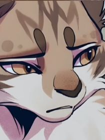 猫武士1——1梦言预事