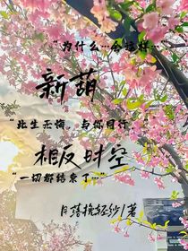 新葫：相反时空