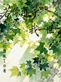 若你再等我一世