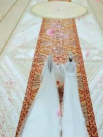 香蜜沉沉燼如霜小魚仙倌覓兒