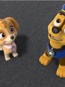 汪汪队之誓死守护2