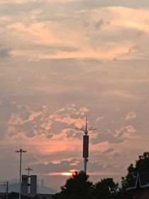 惊：我在话本当散文作者