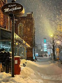 銀杏與風的十四行詩