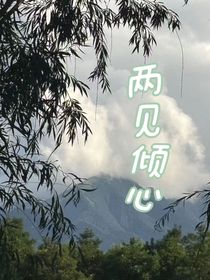 兩見(jiàn)傾心（羽毛球）
