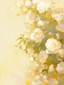 枯萎的白玫瑰—