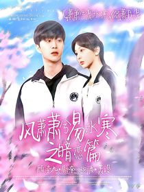 風(fēng)蕭蕭兮易水寒之暗戀篇